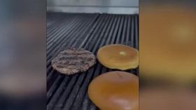 VIDEO Burgerul de urs, brand turistic. Administratorii unui restaurant din Brașov au introdus meniul în preparat